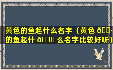 黄色的鱼起什么名字（黄色 🕷 的鱼起什 🐞 么名字比较好听）